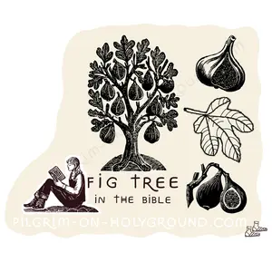 Fig tree in the bible, Illustrated Bible Study For women on plants mentioned in the bible with tips on planting a bible garden , Biblical names conparisop