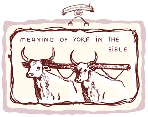 Visual Resources for Meaning of yoke in the Bible Study Journaling, My Yoke is Easy Biblical Verse Mapping and Oxen ploughing yoked in Palestine Picture Notes 