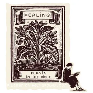 Healing Plants in the Bible
