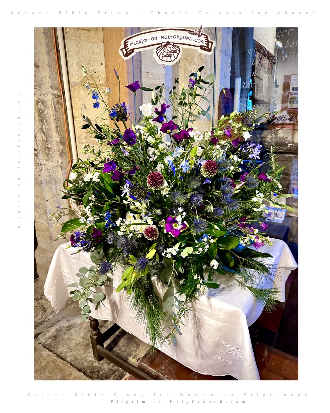 Biblical flower meaning / colour meaning

PURPLE : waiting, repentence, royalty, the coming king
WHITE : purity, Christ's light , angelic, revelation
PINK : Joy , encouragement, rejoice, gaudete sunday
Church Colours for Advent Candle Meaning Order

Hope ➔ Faith ➔ Joy ➔ Peace ✶  Christ