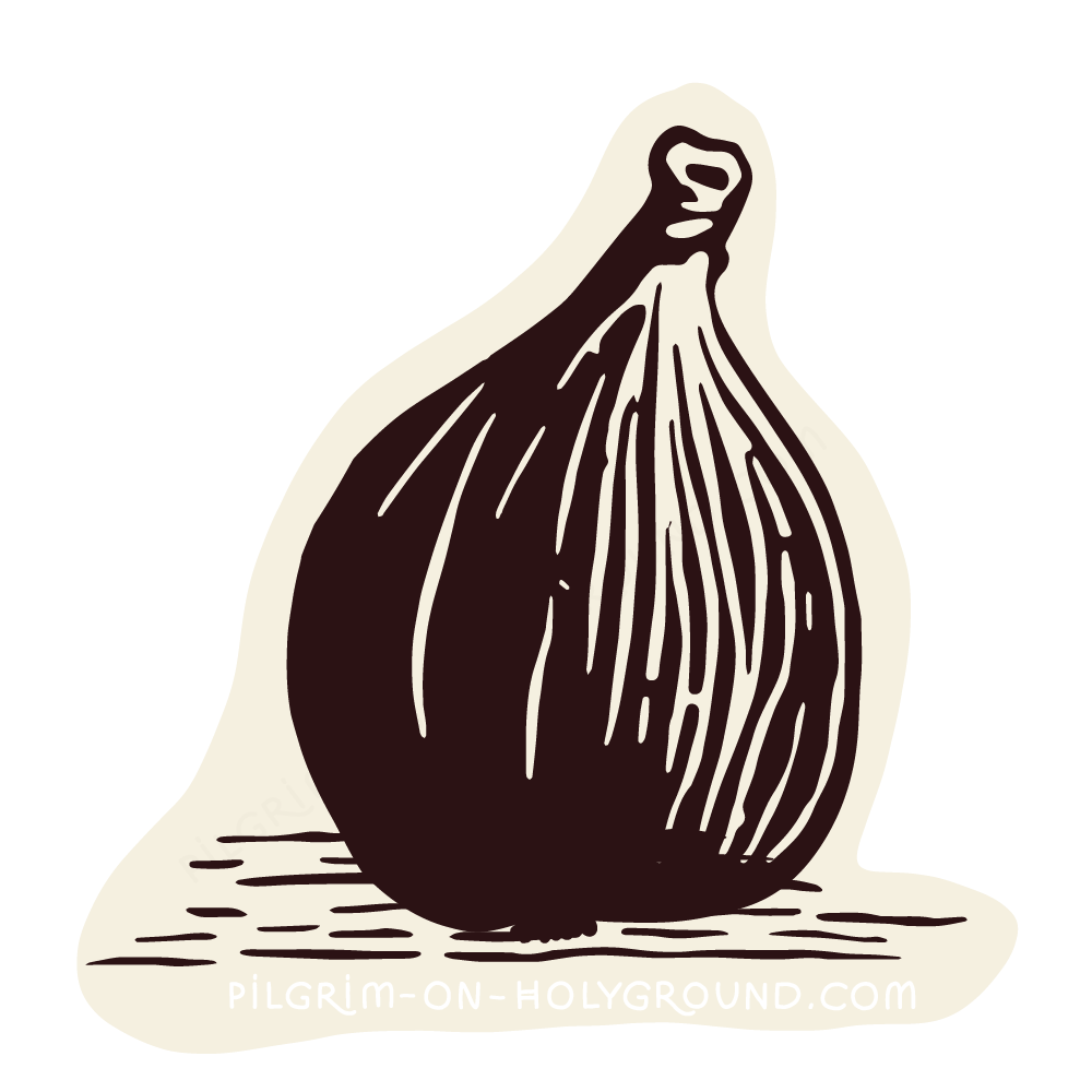 Fig-in-the-bible-clipart-black-and-white-3