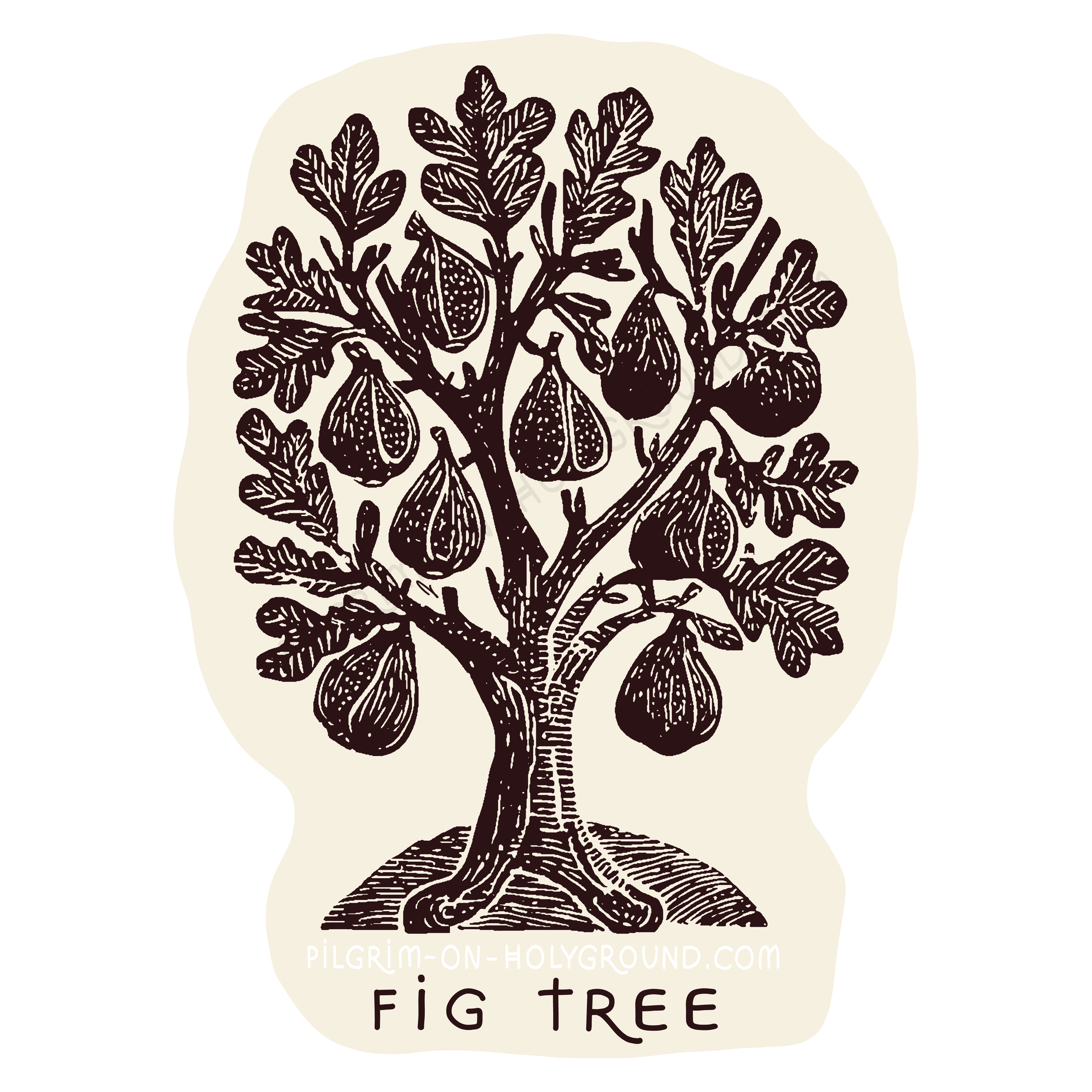 Fig in The Bible Clip Art Black and White Pilgrim On HolyGround 
