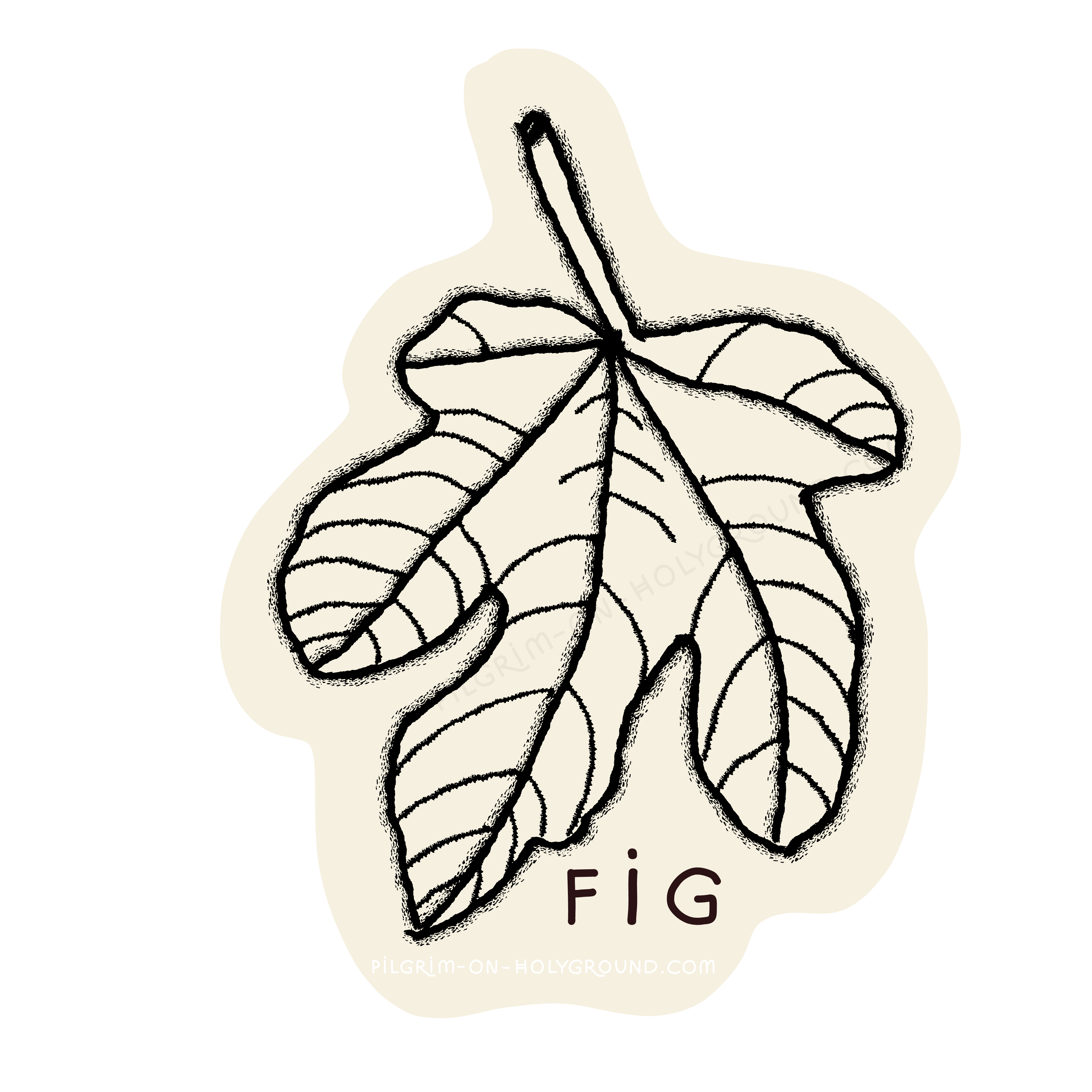 Fig Leaf Fig in The Bible Clip Art Black and White Pilgrim On HolyGround 