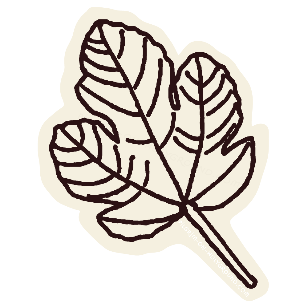 Fig-tree-in-the-bible-leaf-clip-art-