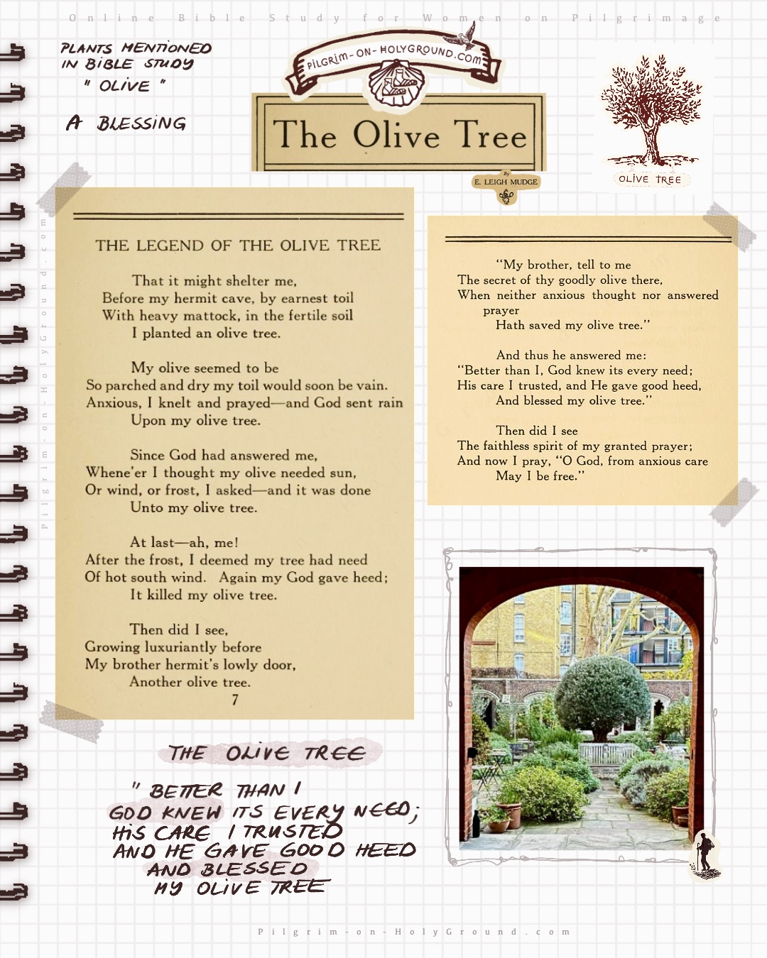 Olive Tree in the Bible Study Blessing Poem Collage The Olive tree by E Leigh Mudge at Pilgrim on HolyGround Olive Tree in the Bible Study Blessing Poem Collage The Olive tree by E Leigh Mudge at Pilgrim on HolyGround