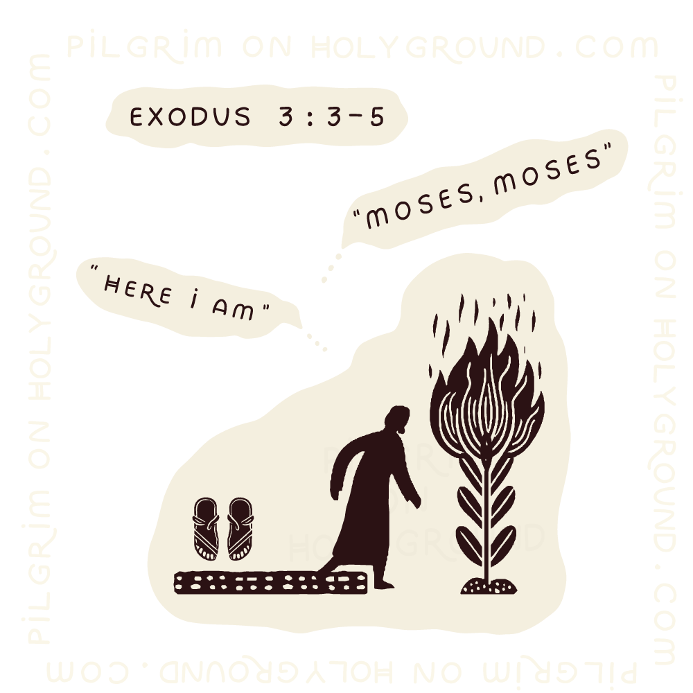 Womens Bible Studies  Exodus 3: 3-5 Moses Moses Here I Am , Pilgrim on Holy Ground Study 