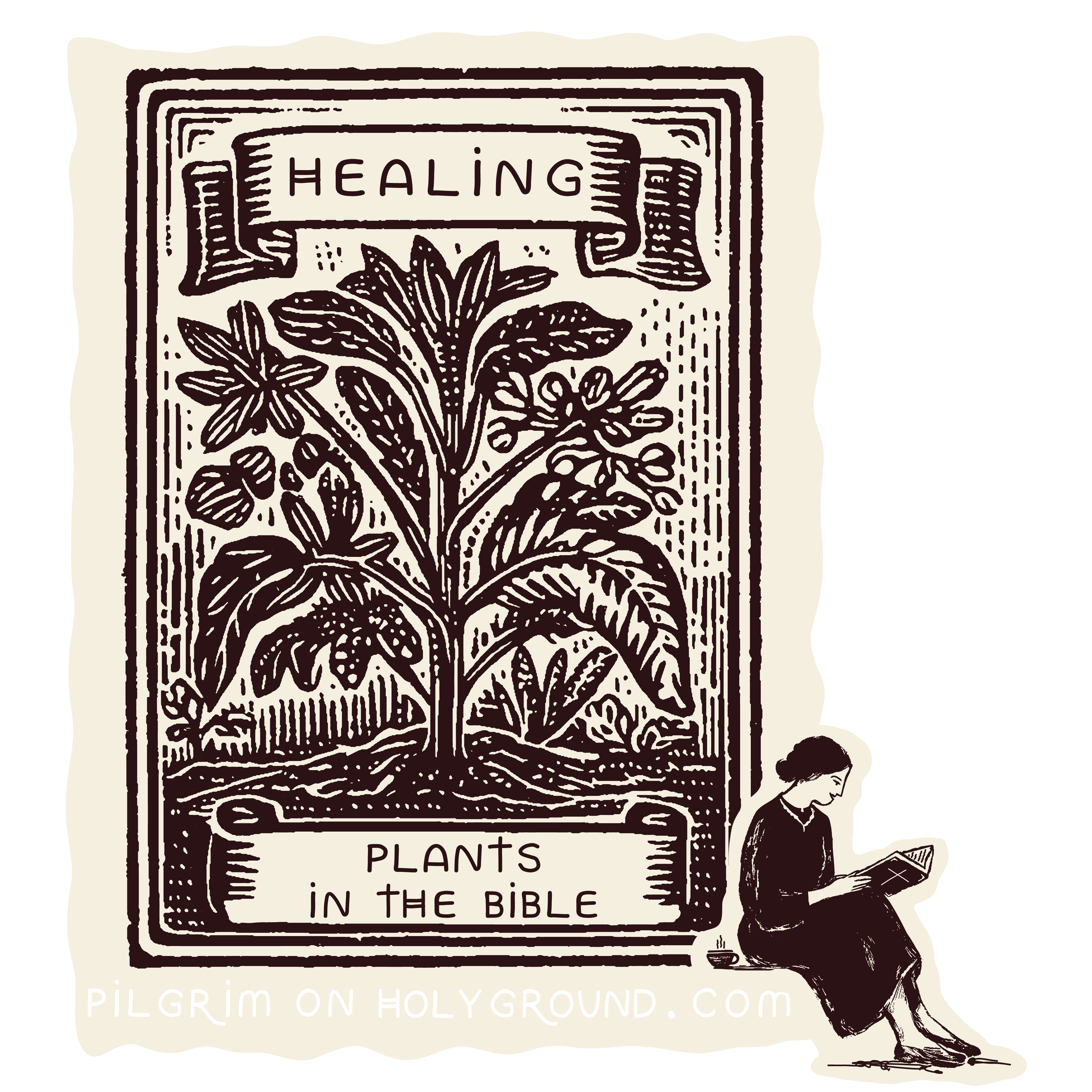 Healing Plants in the Bible Studies for Women online at Pilgrim on HolyGround 