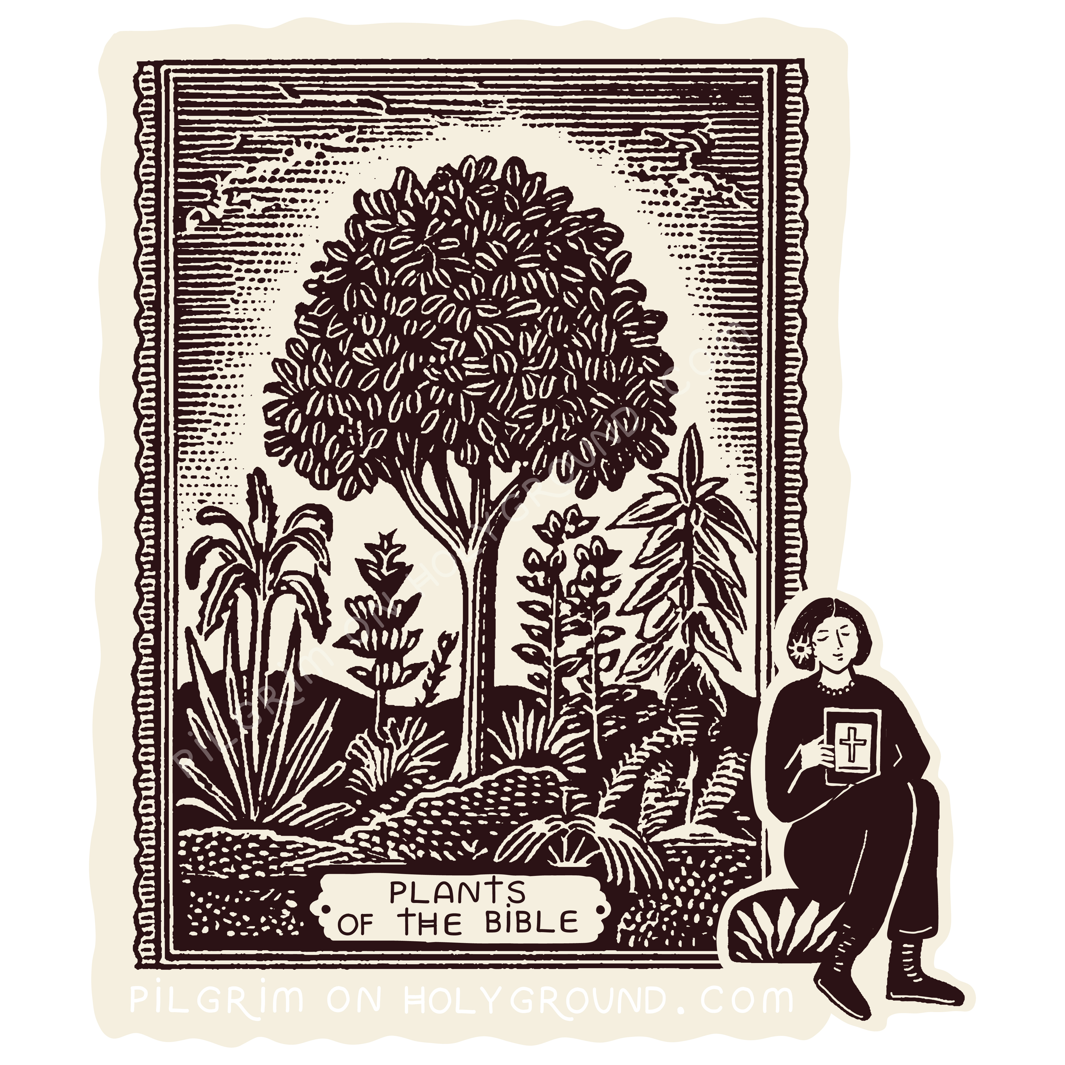 Plants mentioned in the Bible Studies for Women on Pilgrim on Holy Ground 