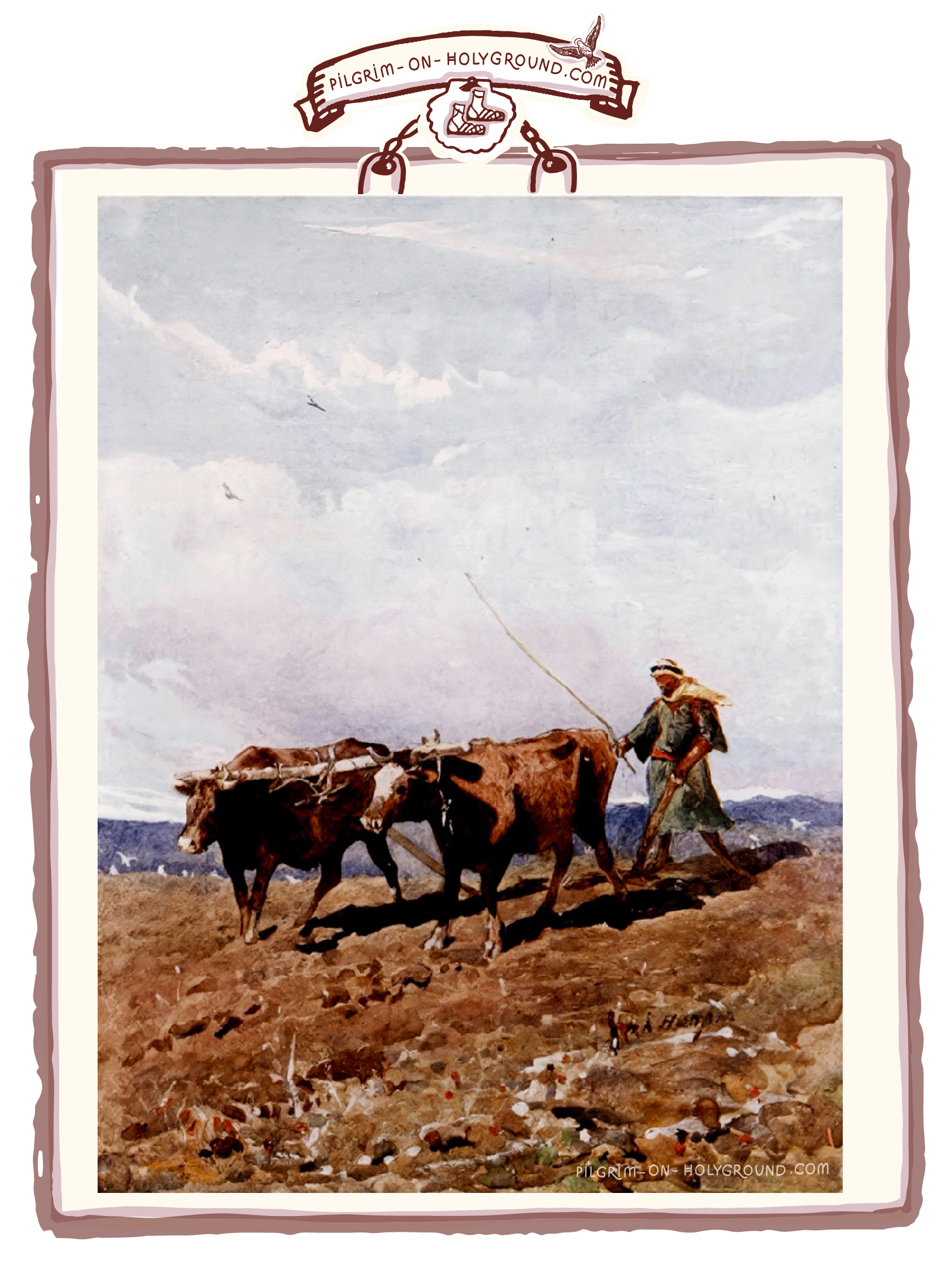 Peasant farmer in Palestine ploughing two oxen in field, biblical times scene picture for bible study at pilgrim on HolyGround